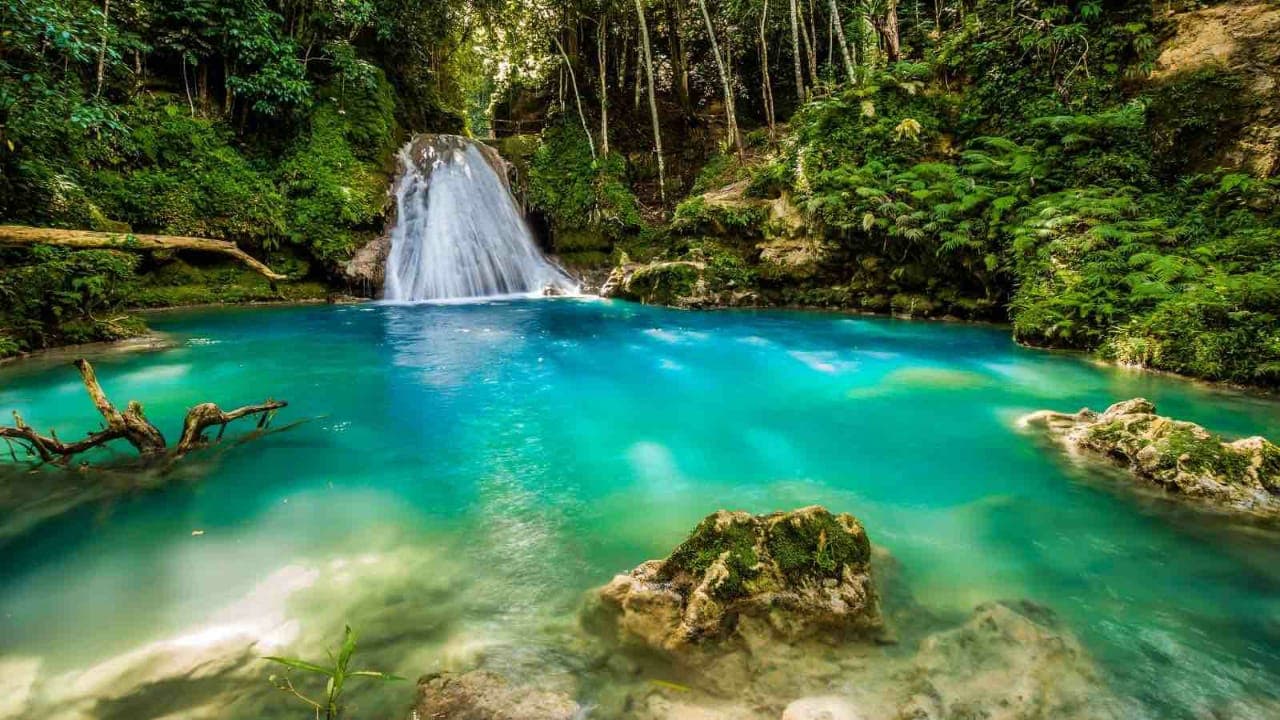 Dunn's River Falls & Blue Hole photo 3