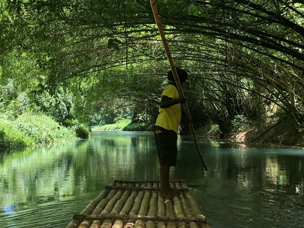 YS Falls & Black River Safari photo 4